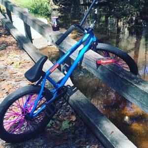 Meet your Posher, Trevor